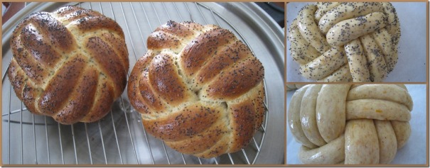 2011-05-29 Baked Swiss Berne Brot
