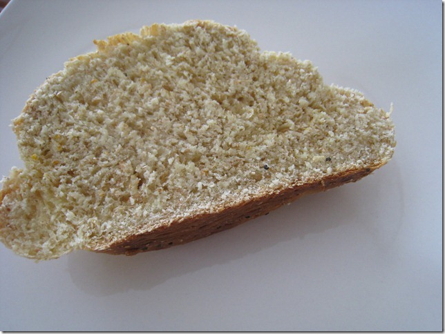 Baked Swiss Berne Brot 077