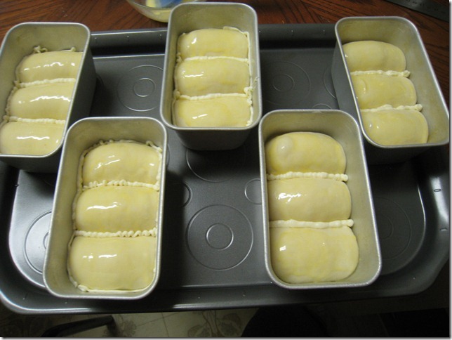 Hokkaido Milk Toast - ready for baking